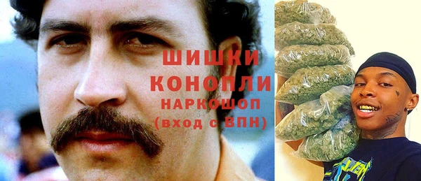 гидра Алексин