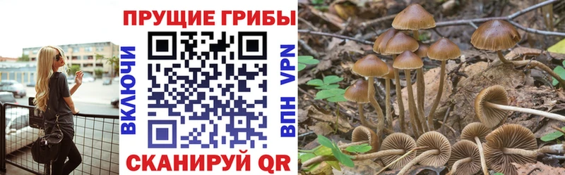 Галлюциногенные грибы прущие грибы  блэк спрут   Мариинск 